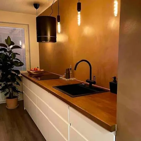 Upea Skandinaavinen Luksushuoneisto Nokia-areenan Vieressae タンペレ